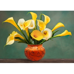 Kunstdruck, Leinwandbild, Vase mit gelben Callas von Luca Villa
