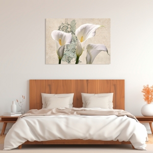 Floral art print and canvas, Three Callas by Elena Dolci