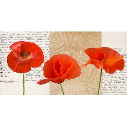 Cuadro flores en lienzo y lámina, Tres Amapolas de Elena Dolci