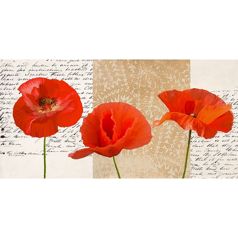 Art print and canvas, Three Red Poppies by Elena Dolci