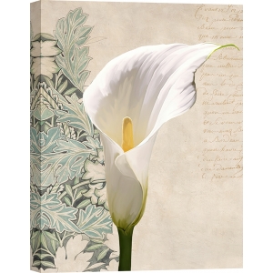Quadro con fiori, stampa su tela. Calla moderna II di Elena Dolci