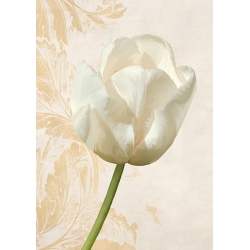 Kunstdruck, Leinwandbild mit Blumen, Moderne Tulpe II, Elena Dolci