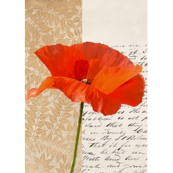 Kunstdruck, Leinwandbild mit Blumen, Moderner Mohn III, Elena Dolci