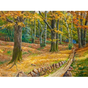 Art print and canvas, A path through the woods, Adriano Galasso