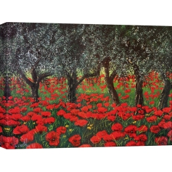 Wall art print and canvas. Tebo Marzari, Poppies under the olive trees