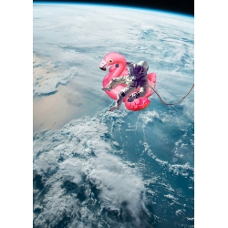 Funny NASA art print and canvas, Space Splash, det, by Astrolabs