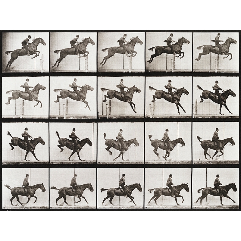 Tableau vintage, Animal Locomotion, Plate 637, Eadweard Muybridge