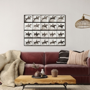 Quadro, stampa su tela. Animal Locomotion, Plate 637 di Eadweard Muybridge