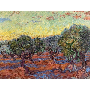 Leinwandbild, Olivenhain, Saint-Rémy von Vincent van Gogh