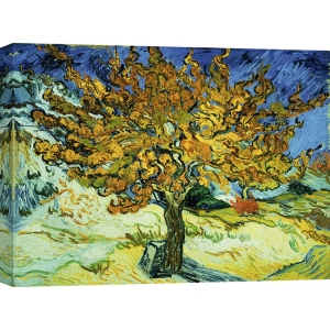 Quadro, stampa su tela. Vincent van Gogh, L'albero di gelso