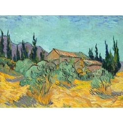 Quadro su tela, Cabine in legno tra ulivi e cipressi di Vincent van Gogh