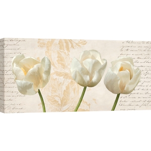 Cuadro flores en lienzo y lámina, Tres tulipanes de Elena Dolci