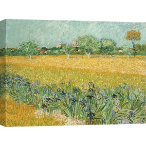 Leinwandbilder. Vincent van Gogh, Irisfeld in der Nähe von Arles