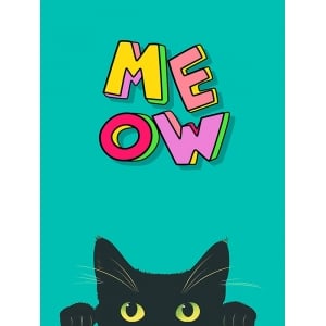 Poster gatto. Quadro, stampa su tela, Meow di Steven Hill