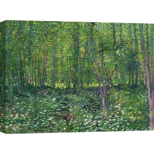 Tableau sur toile. Vincent van Gogh, Arbres et sous-bois