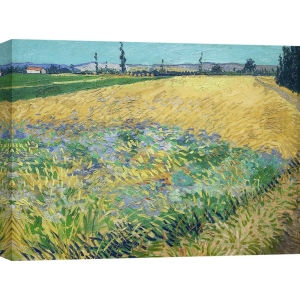 Quadro, stampa su tela. Vincent van Gogh, Campo di grano