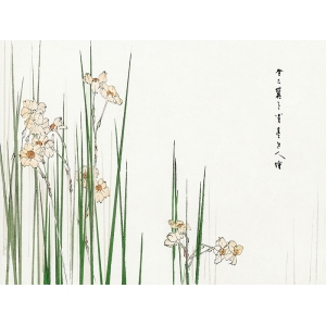 Japanese print and canvas, Jonquil by Watanabe Seitei