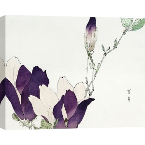 Japanese print and canvas, Purple magnolia, Watanabe Seitei