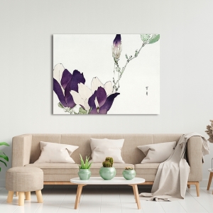 Tableau et affiche japon, Magnolia pourpre de Watanabe Seitei