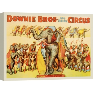 Vintage Poster. Anonym, Downie Bros. Big 3 Ring Circus, 1935