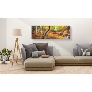 Wall art print and canvas. Adriano Galasso, Path in the Woods II