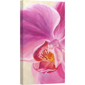 Cuadros de flores modernos en canvas. Ann Cynthia, Purple Orchids I