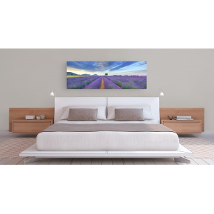 Wall art print and canvas. Krahmer, Lavender Field, France