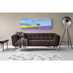 Wall art print and canvas. Massimo Germani, Lavender fields