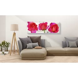 Wall art print and canvas. Jenny Thomlinson, Spring Roses