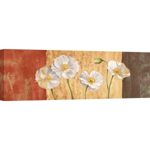 Wall art print and canvas. Jenny Thomlinson, Poppies on Smooth Background
