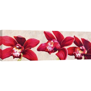 Leinwanddruck mit modernen Blumen. Luca Villa, Elegante Orchideen