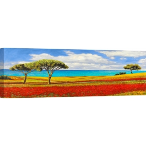Cuadros de paisajes de campo en canvas. Masera, Mediterraneo
