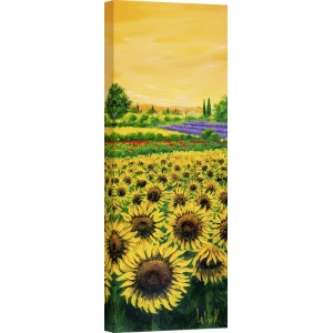 Wall art print and canvas. Tebo Marzari, Sunflowers and lavender