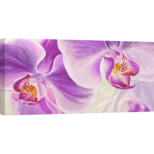Wall art print and canvas. Cynthia Ann, Purple Orchids