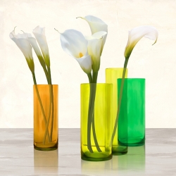 Tableau floral sur toile. Callas dans des vases en cristal I (détail)