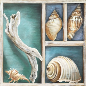 Cuadros marinos en canvas. Ted Broome, Conchas de mar I
