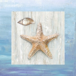 Cuadros marinos en canvas. Ted Broome, Recuerdos del mar II