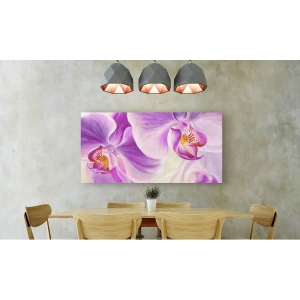 Quadro, stampa su tela. Cynthia Ann, Purple Orchids