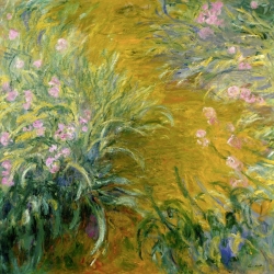 Quadro, stampa su tela. Claude Monet, Il sentiero tra gli iris