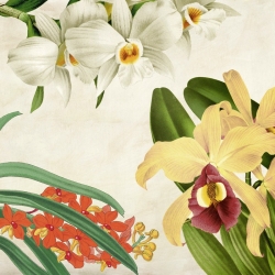 Cuadros botanica en canvas. Remy Dellal, Panel botánico VIII