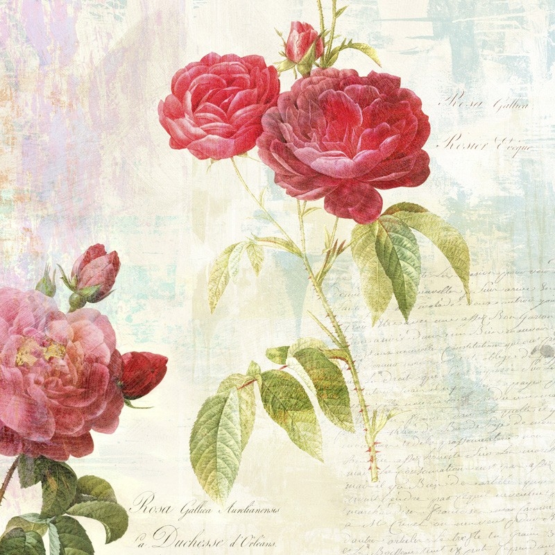 Quadro, stampa su tela. Eric Chestier, Redouté's Roses 2.0 – II