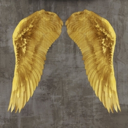 Quadro, stampa su tela. Joannoo, Angel Wings I