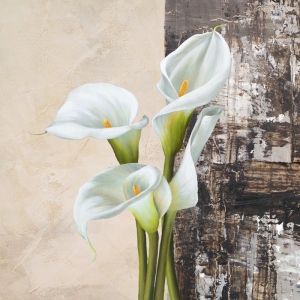 Cuadros de flores modernos en canvas. Jenny Thomlinson, Nature II