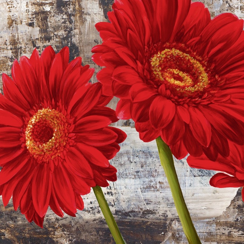 Cuadros de flores modernos en canvas. Jenny Thomlinson, Gerberas rojas I