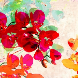 Leinwanddruck mit modernen Blumen. Orchidreams (detail)
