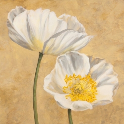 Tableau floral sur toile. Luca Villa, Coquelicots sur or II