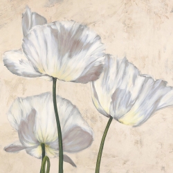 Tableau floral sur toile. Luca Villa, Coquelicots en blanc II