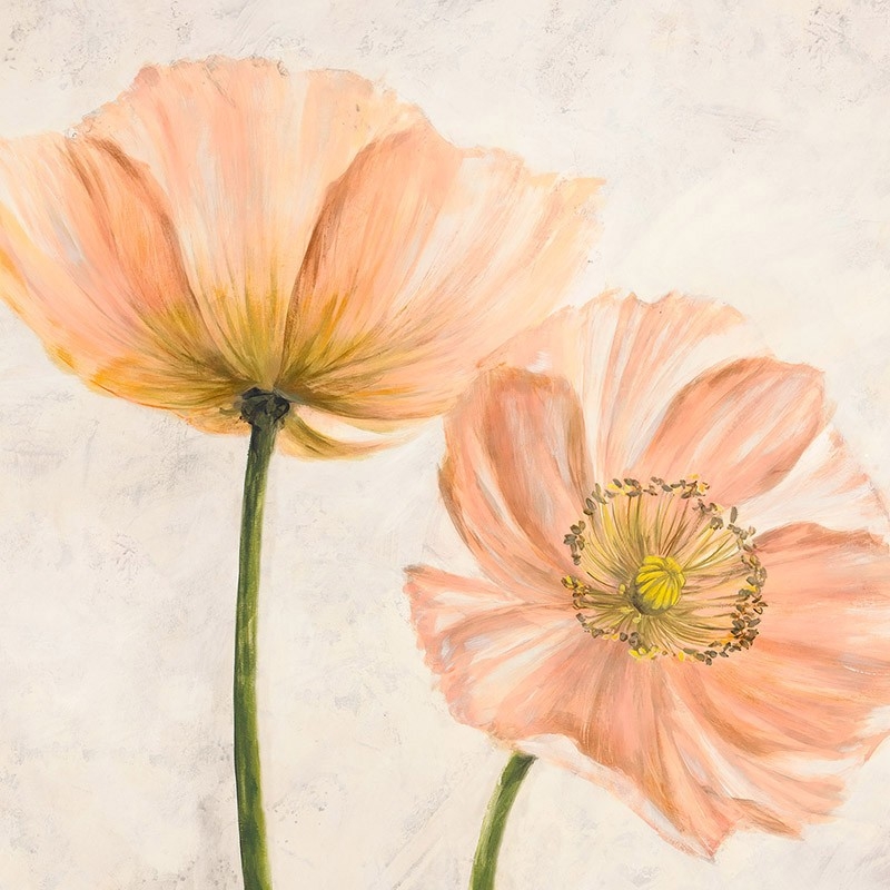 Tableau floral sur toile. Luca Villa, Coquelicots en rose II