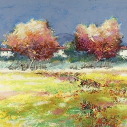 Cuadros de paisajes de campo en canvas. Florio, Arboles en el prado