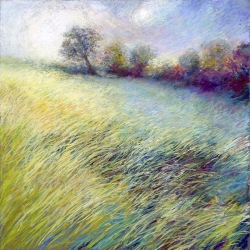 Wall art print and canvas. Nel Whatmore, Feathered field